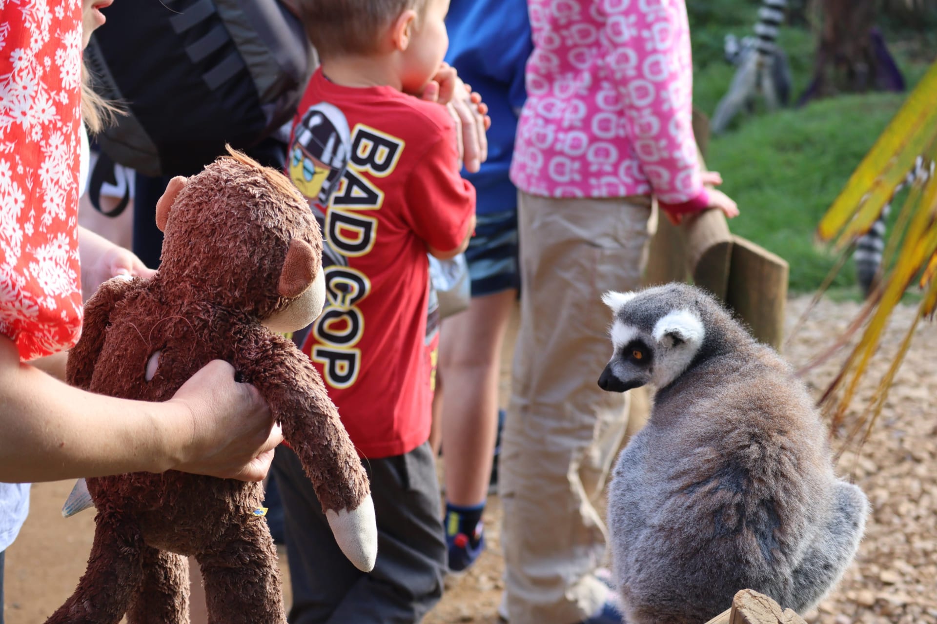 DREAMNIGHT AT THE ZOO 2022 AT COTSWOLD WILDLIFE PARK PHOTOS BETHAN WILLIAMS IMG 8714