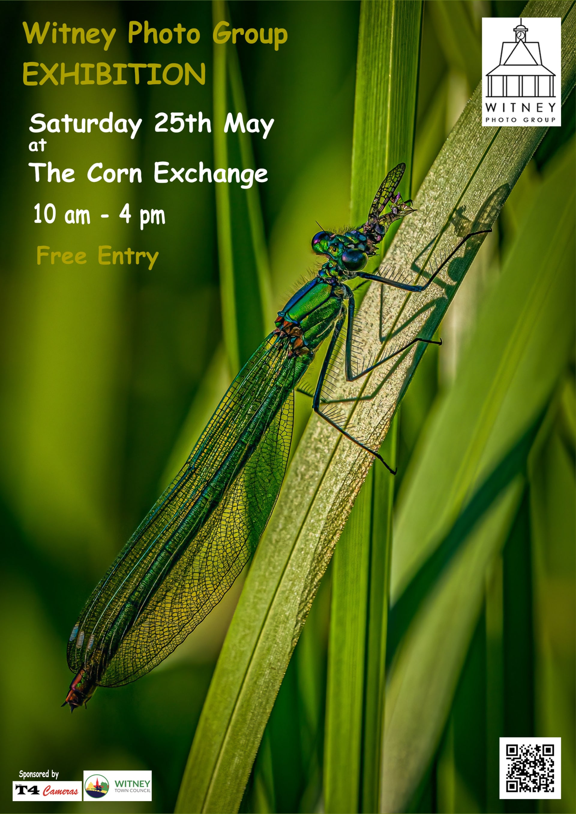 Damselfly DinnerDINbestjpg r9mftc