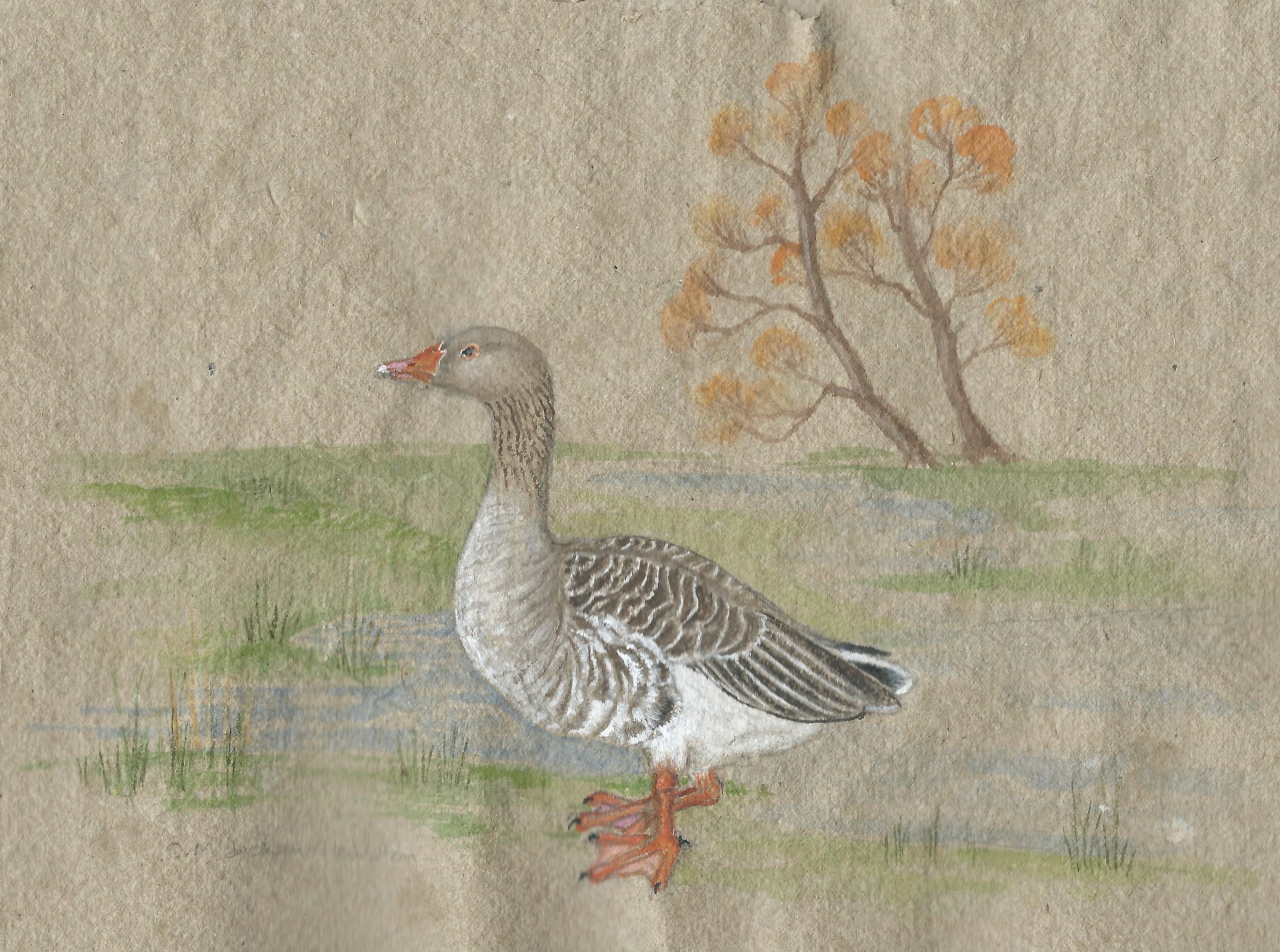 Goose3