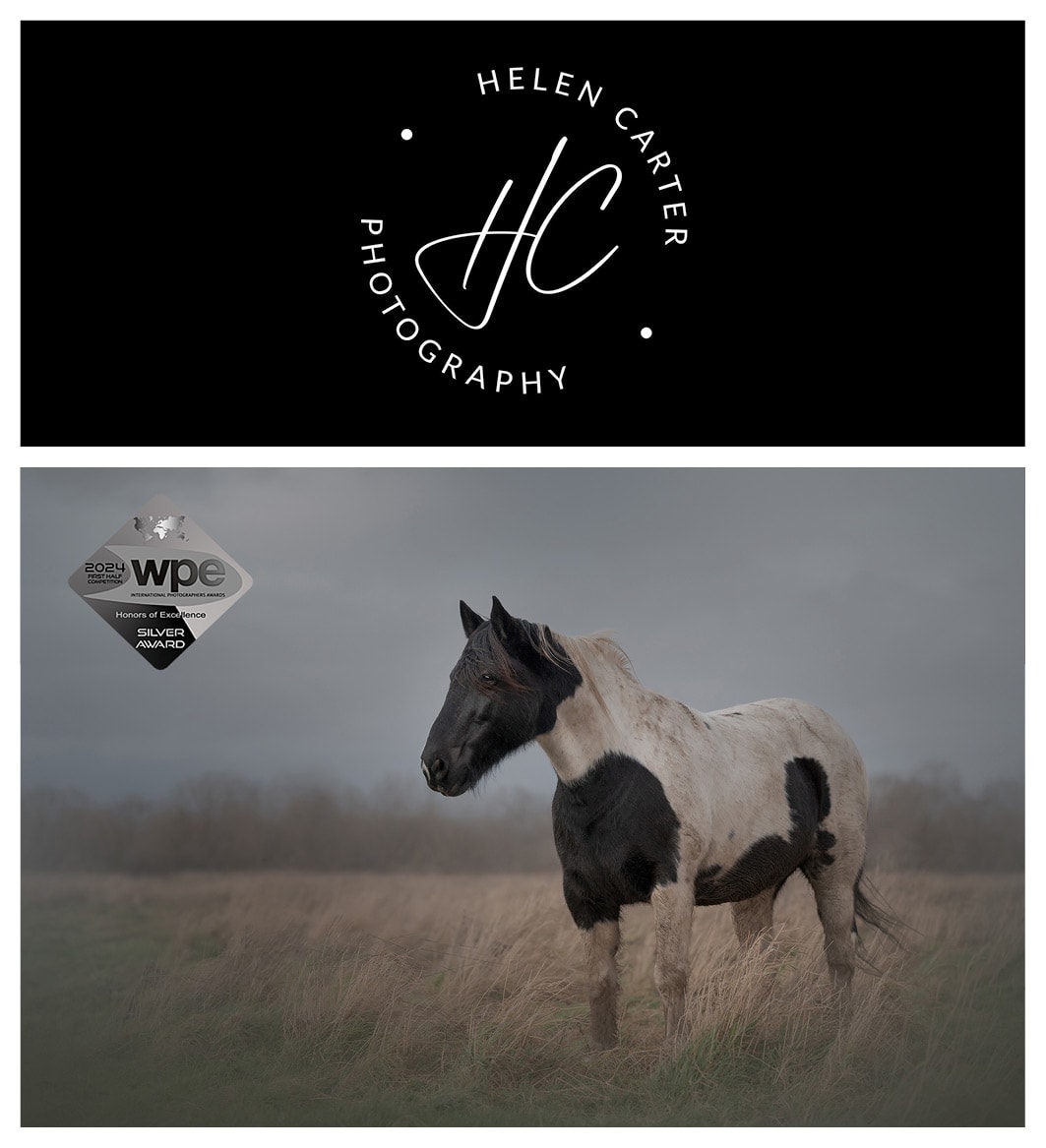 HelenCarterPhotography mpm7qu