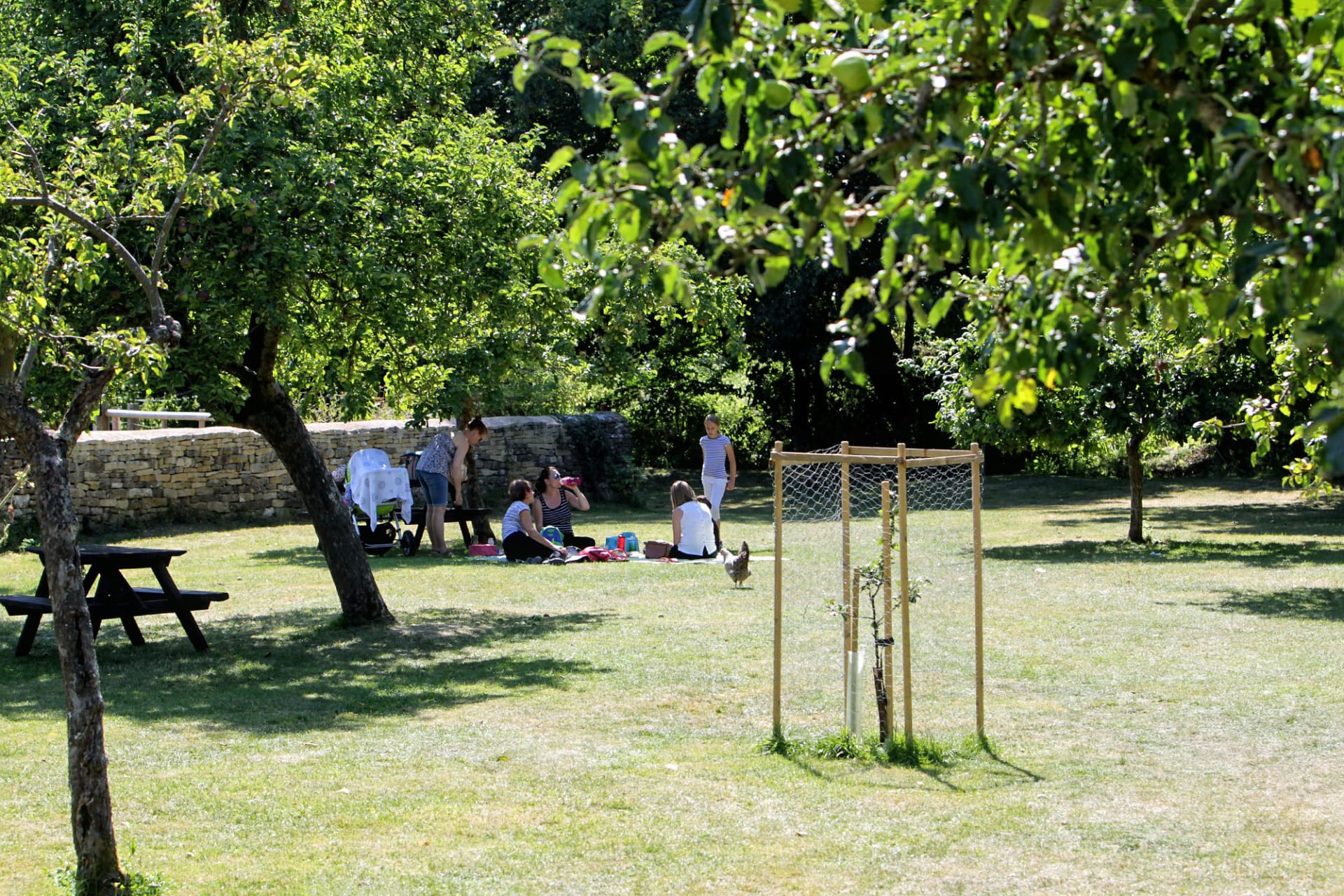 Orchard