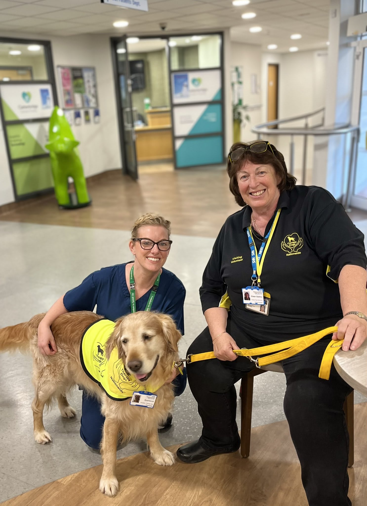 THERAPY DOGS 3