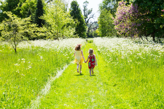 Waterperry May 2015 ML057 waouop jwuac9