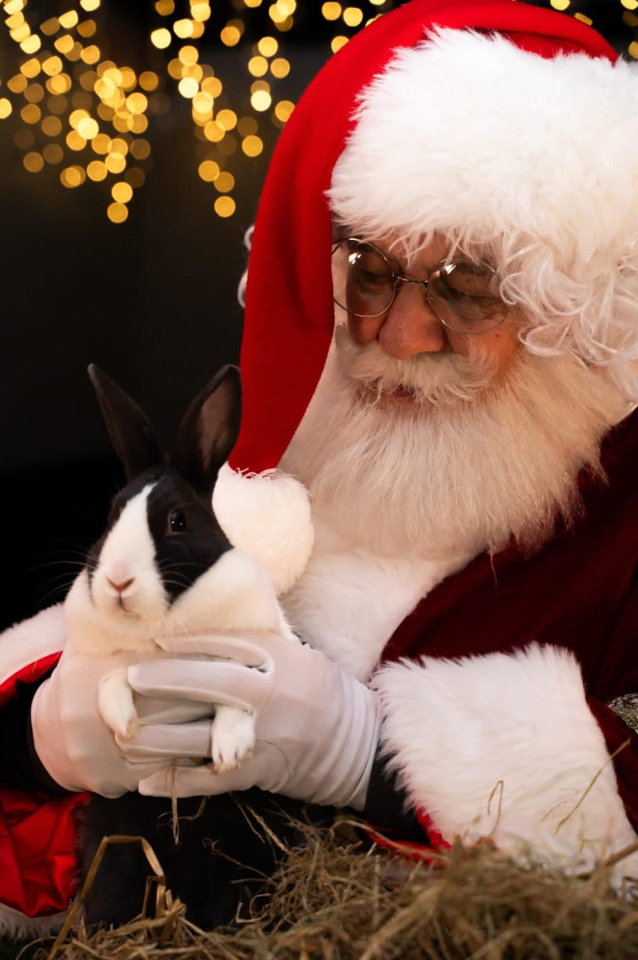 Christmas on the Farm at Cotswold Farm Park  14 