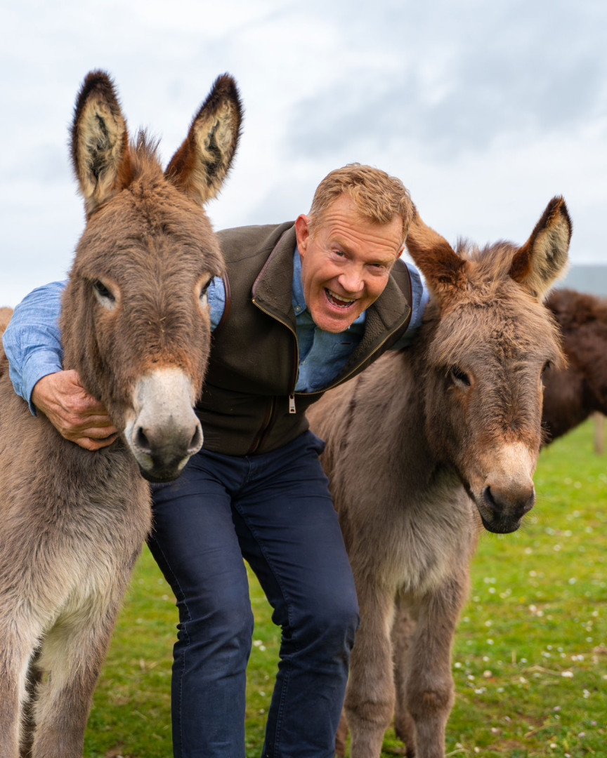 CotswoldFarmPark donkey