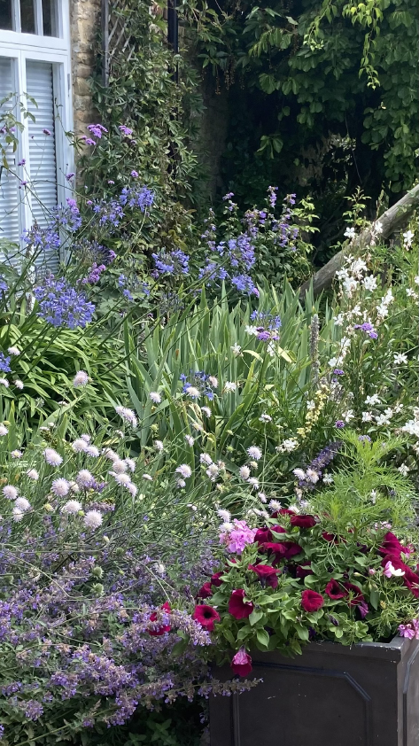 cottage border