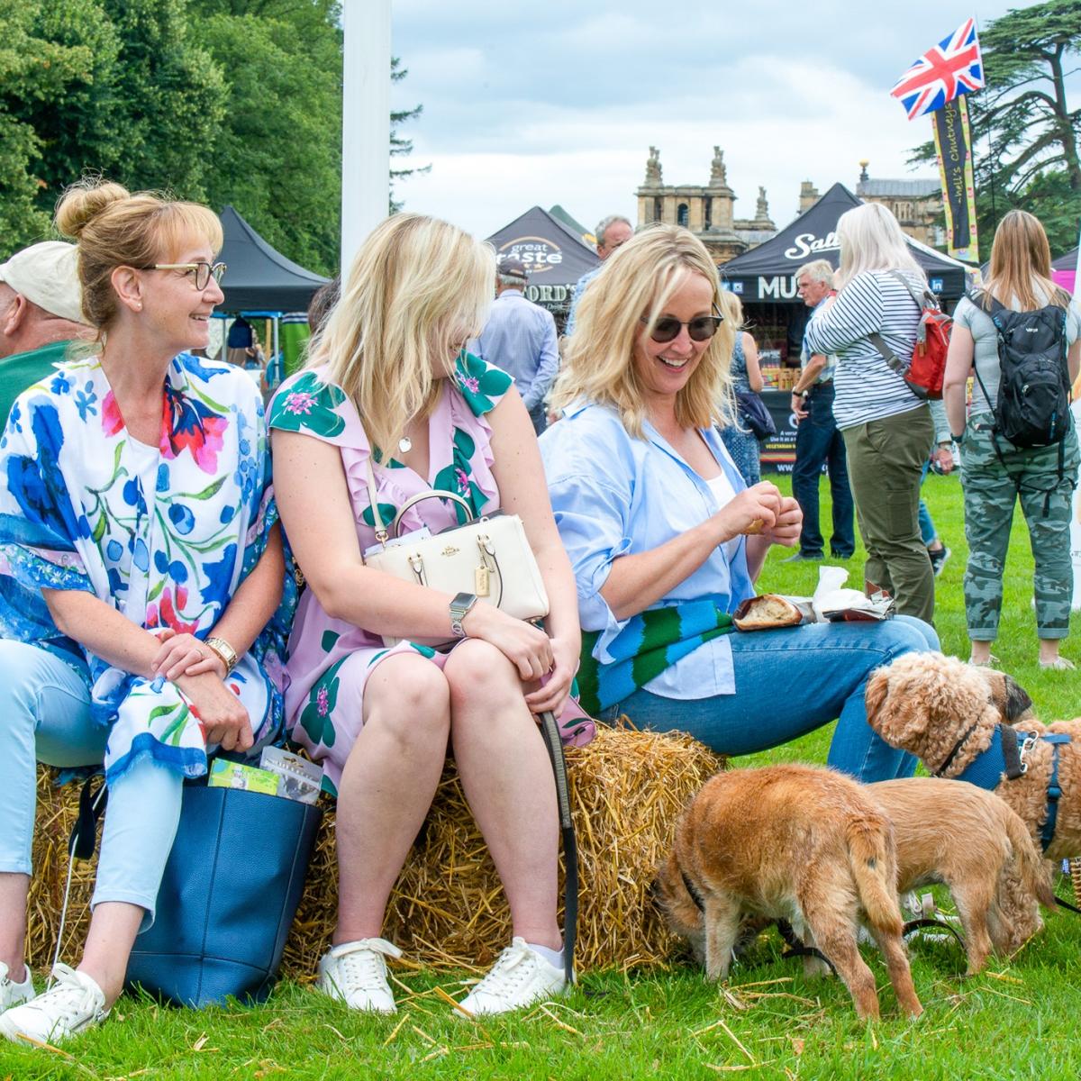 food festival visitors.e93a4c5b678610a719000d69ac47f381 t5bifg